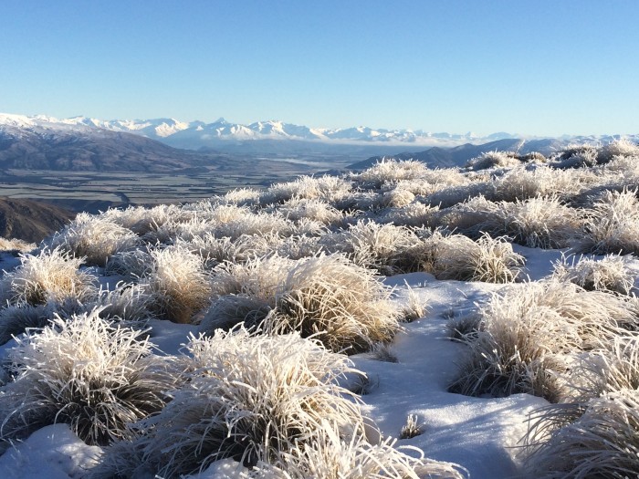 Narnia or Otago?